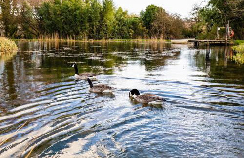 Gardener's Cottage - Ukc3948 - Foto 48