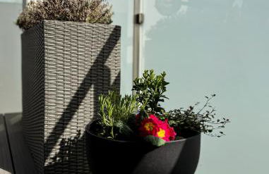 Entspannen am Möhnesee - Cozy Home - Foto 20