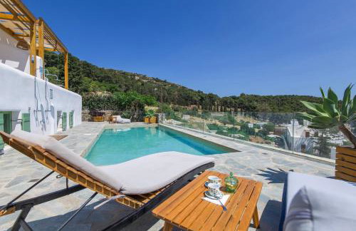 Lefkes View Villa - Photo 27