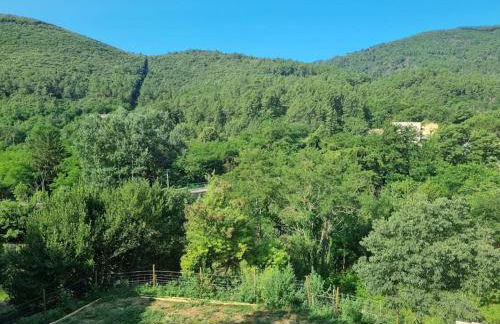 Gîte de la tourterelle - Foto 13