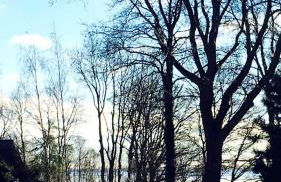 Ferienwohnung Schwalbe Wieck/Darss - Foto 25