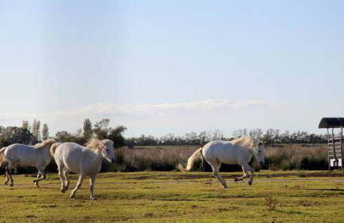 Villa Demì - Foto 28