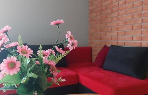 Świerkowy Zakątek u Bacy - Foto 14