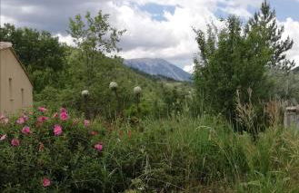 La Farigoule - Foto 18