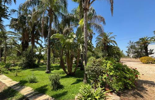 Nonna Maria - Foto 19