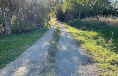 Beinalot Country House - Foto 46