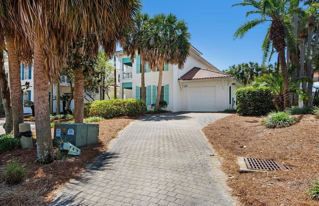 Blue Turtle Dreams - Foto 56