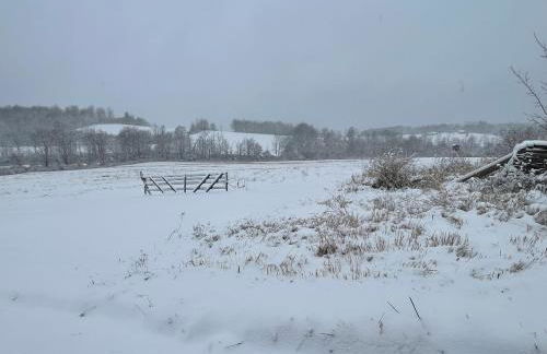 Private Luxury Log Cabin in the Endless Mountains, Firepit, Farm Charm - Foto 22