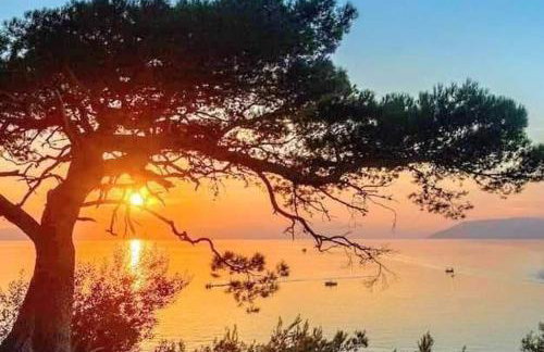 Apartman Maris, self check in - Photo 54