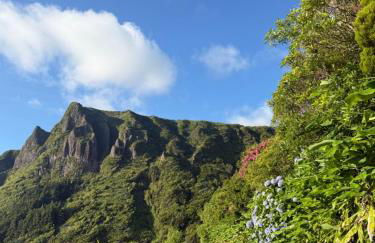 Villa Estrelitzia sea view 1 à 6 p - Foto 26