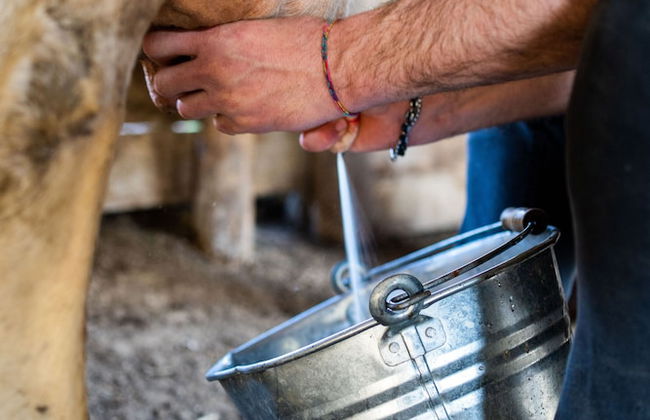 Agriturismo San Basilio - Foto 58