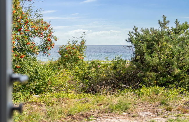 "Gjorgje" - 100m from the sea - Foto 11