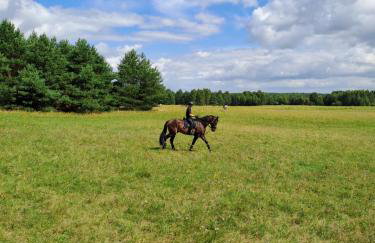 Stajnia Małszewo - Photo 16