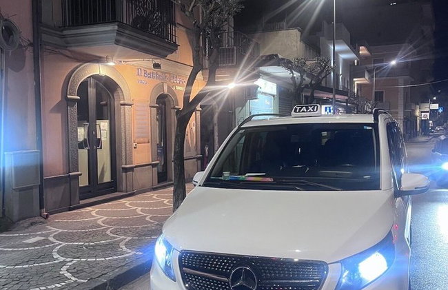 Transfert privé : Pompéi, Torre Annunziata et Castellammare - Photo 23