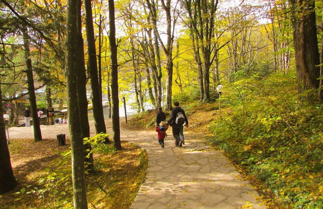 Your Perfect Adriatic Getaway - Photo 21