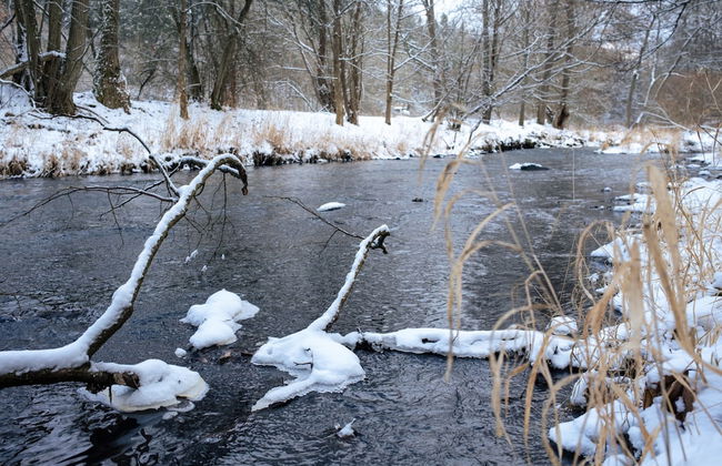 Wmm020 in Manet n With 7 Bedrooms and 8 Bathrooms - Foto 44