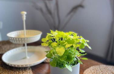 Ferienwohnung Sofie - Foto 11