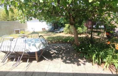 Pampounette - Foto 5