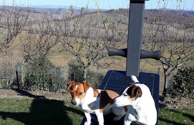 San Lorenzo Agriturismo - Foto 33