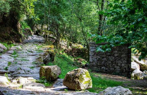 Dalpendre - Turismo em espaço rural - Foto 10