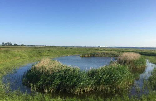 Insel- Bungalow auf Poel - Foto 54