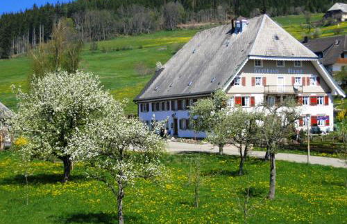 Ferienwohnung Schwarzwald-Alpenblick - Foto 80