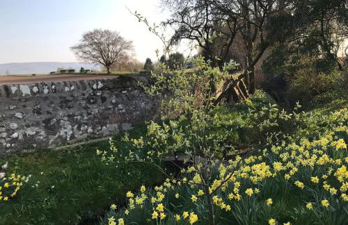 Garden Studio for Two - Foto 17