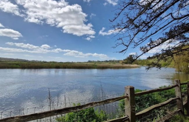 Arundel Cottage Retreat - Foto 6