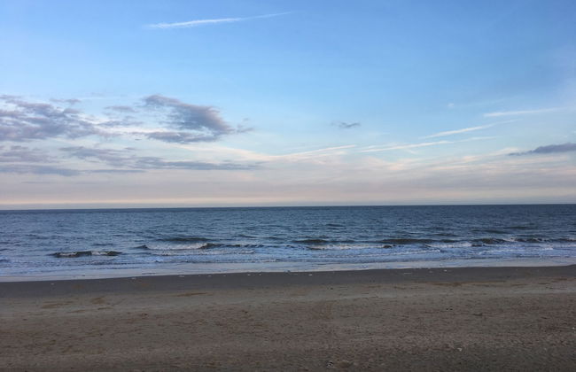 Moray Beachside Apartments - Foto 36