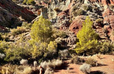 Sport2Relax Guesthouse Cabeço d'Or - Foto 45