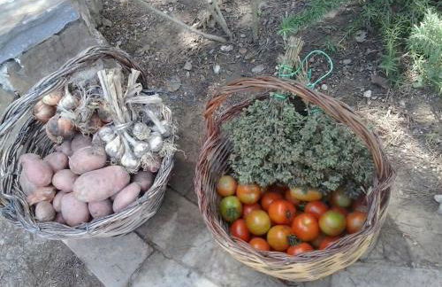 I Tre Tigli - Casa di campagna - Foto 33