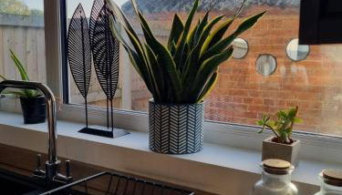 No 3 Waterloo Place - Foto 5