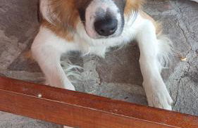 Agriturismo Il Colle Del Contadino - Foto 28