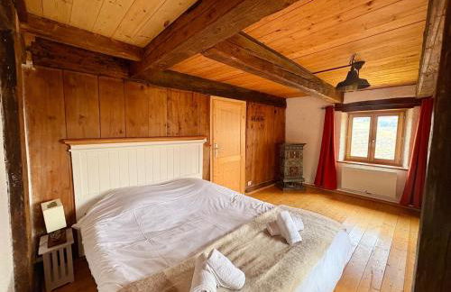 Aux Sources - 14 personnes - sauna & jacuzzi - Photo 41