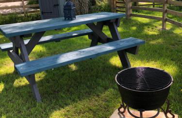 The Peacock Shepherds Hut at Hafoty Boeth - Photo 30