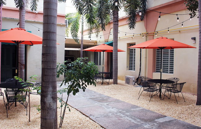 Gladiolas 1205 - Foto 11