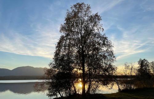 FÜNF ROSEN Boutique Apartment - Bio-Ferienwohnung am Staffelsee im Blauen Land - Foto 13