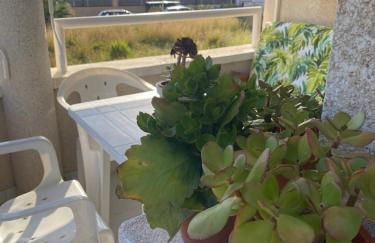 Tramuntana apart - Foto 16