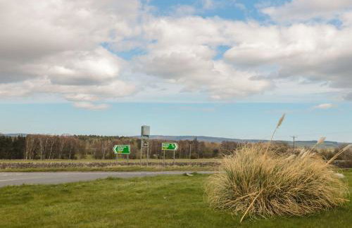 Pansy Plot - Photo 53