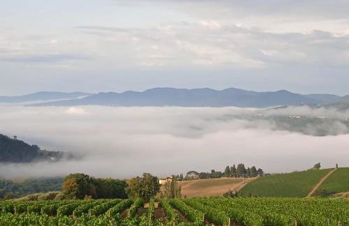 La Casetta di Noah - Foto 61