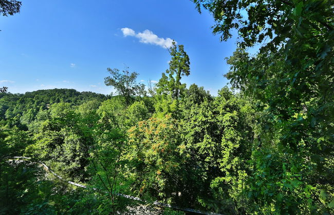 Pine Needles 6 - One Bedroom Chalet - Foto 9