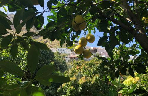 Casa Camino Tamadaba - Foto 58