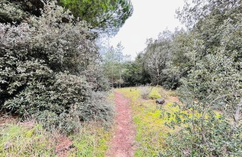 Maison de la pinède, accès direct forêt et plage - Photo 17
