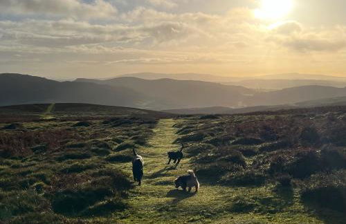 Gooseyard at Middle Farm and Cottages - Foto 22
