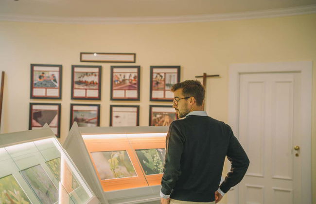 Visita à vinícola Taylor's - Foto 6