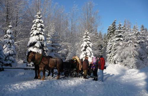 Holiday Home Ziller by Interhome - Foto 34