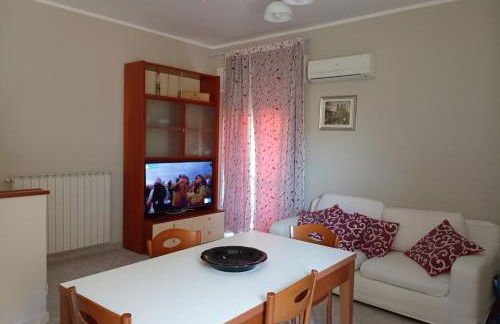 Aurora and Brothers' home - Photo 24