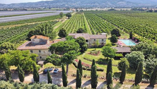 Foresteria Il Giardino di Fontarronco - Foto 4