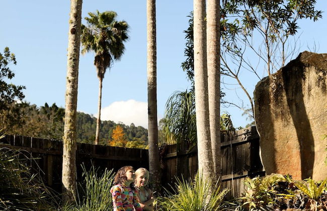 Mt Warning Rainforest Park - Photo 1