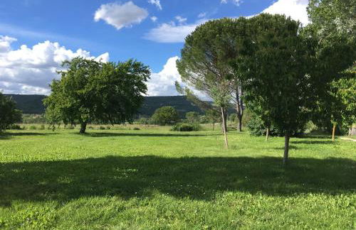 Domaine de la Bastidonne - Foto 47